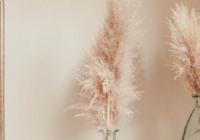 Ӱ΢ͷˮ